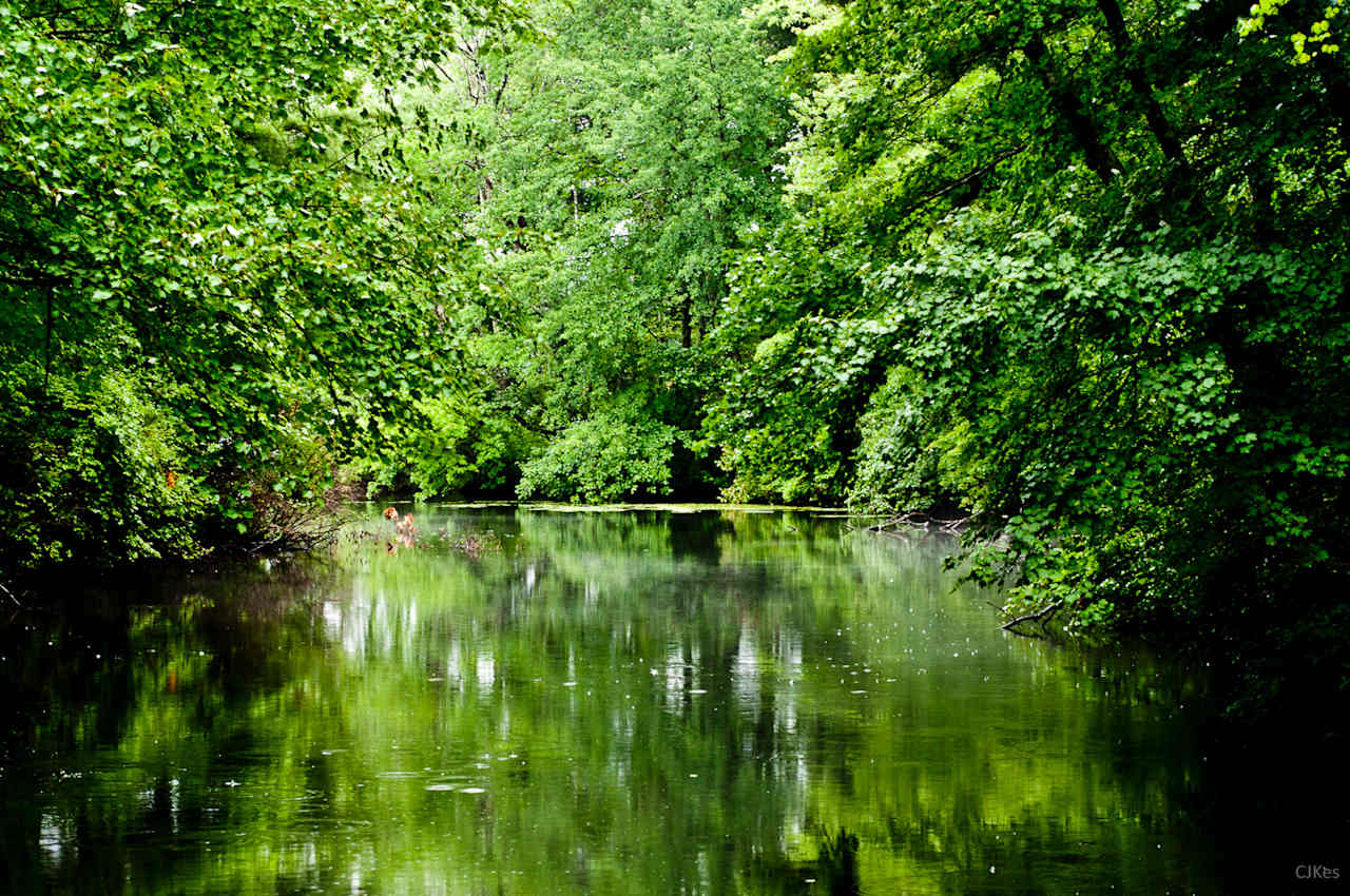 Hopeville Pond State Park