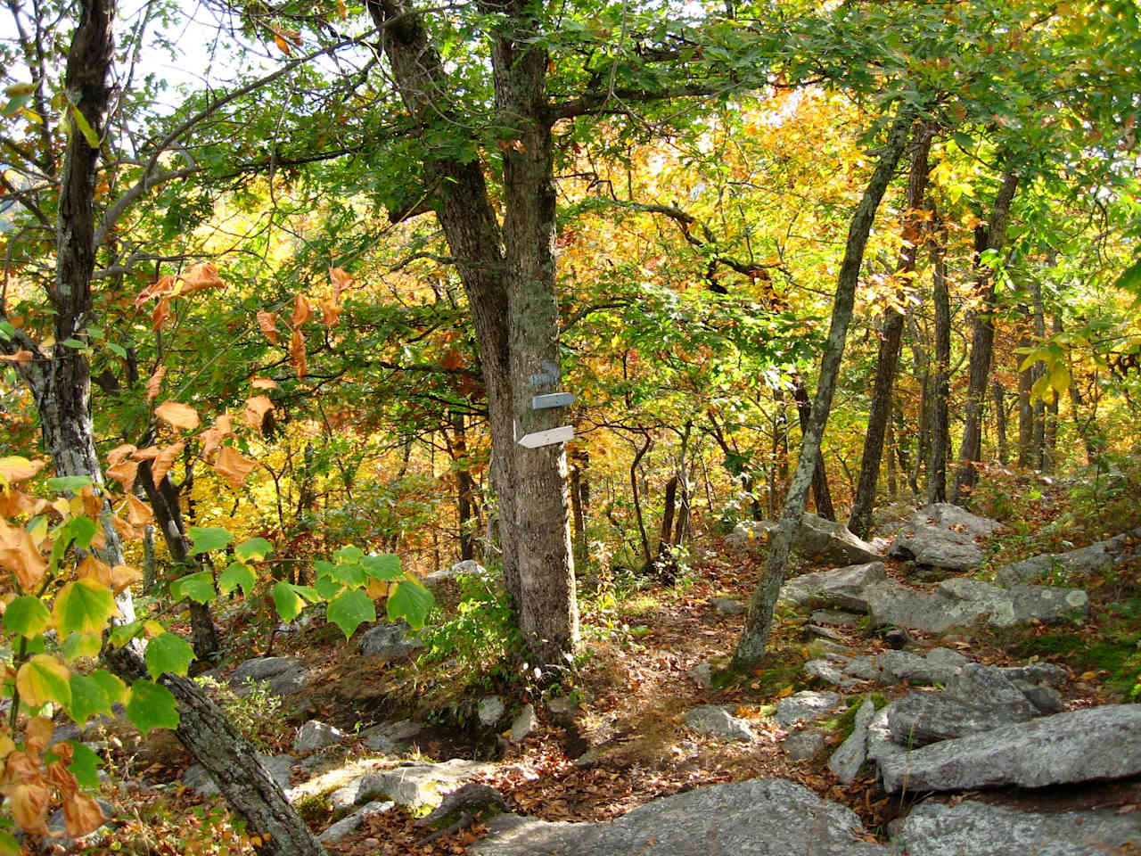 Macedonia Brook State Park