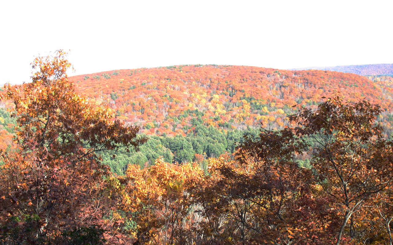 American Legion and Peoples State Forests