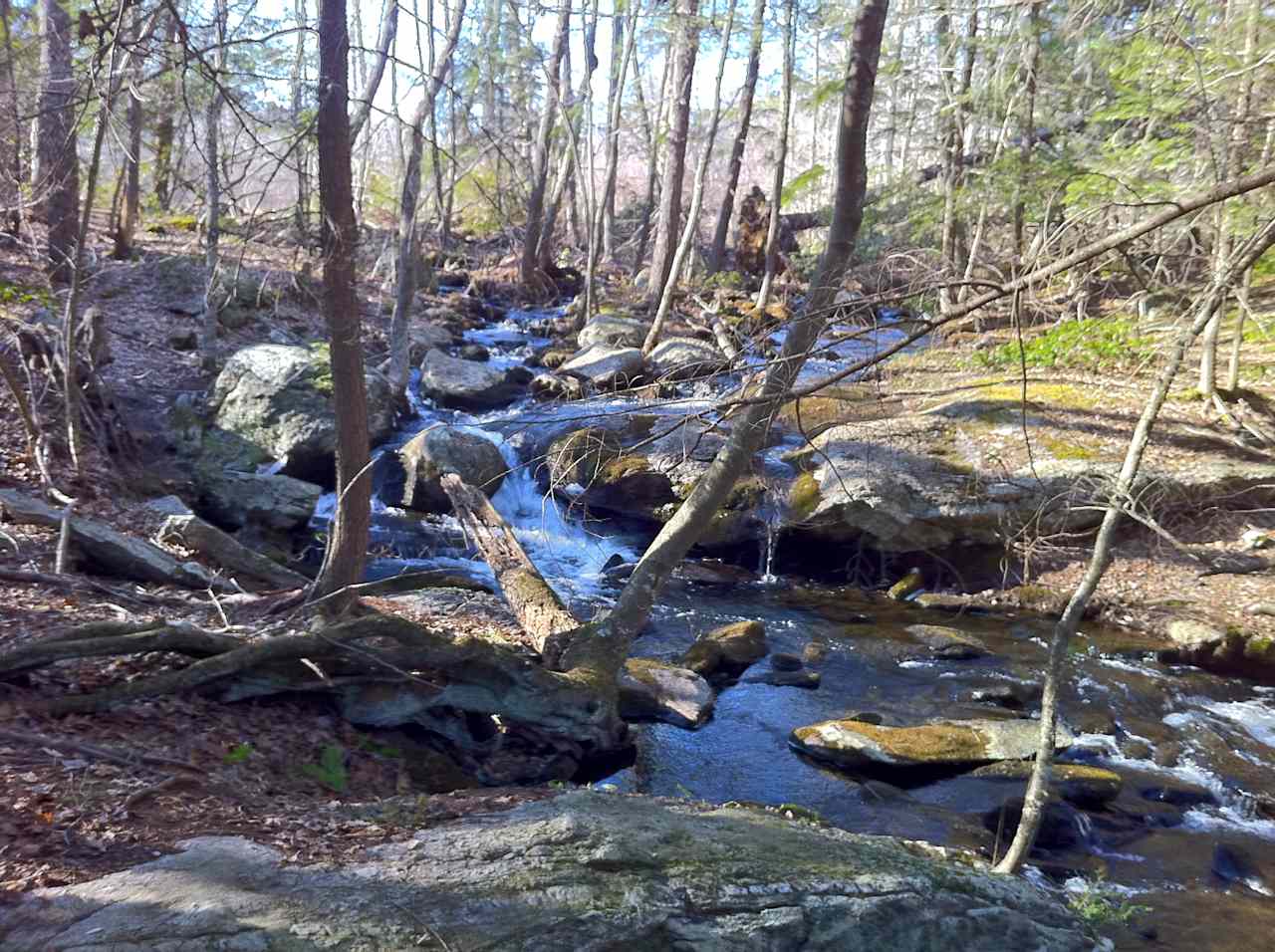 Knowlton Brook Campsite