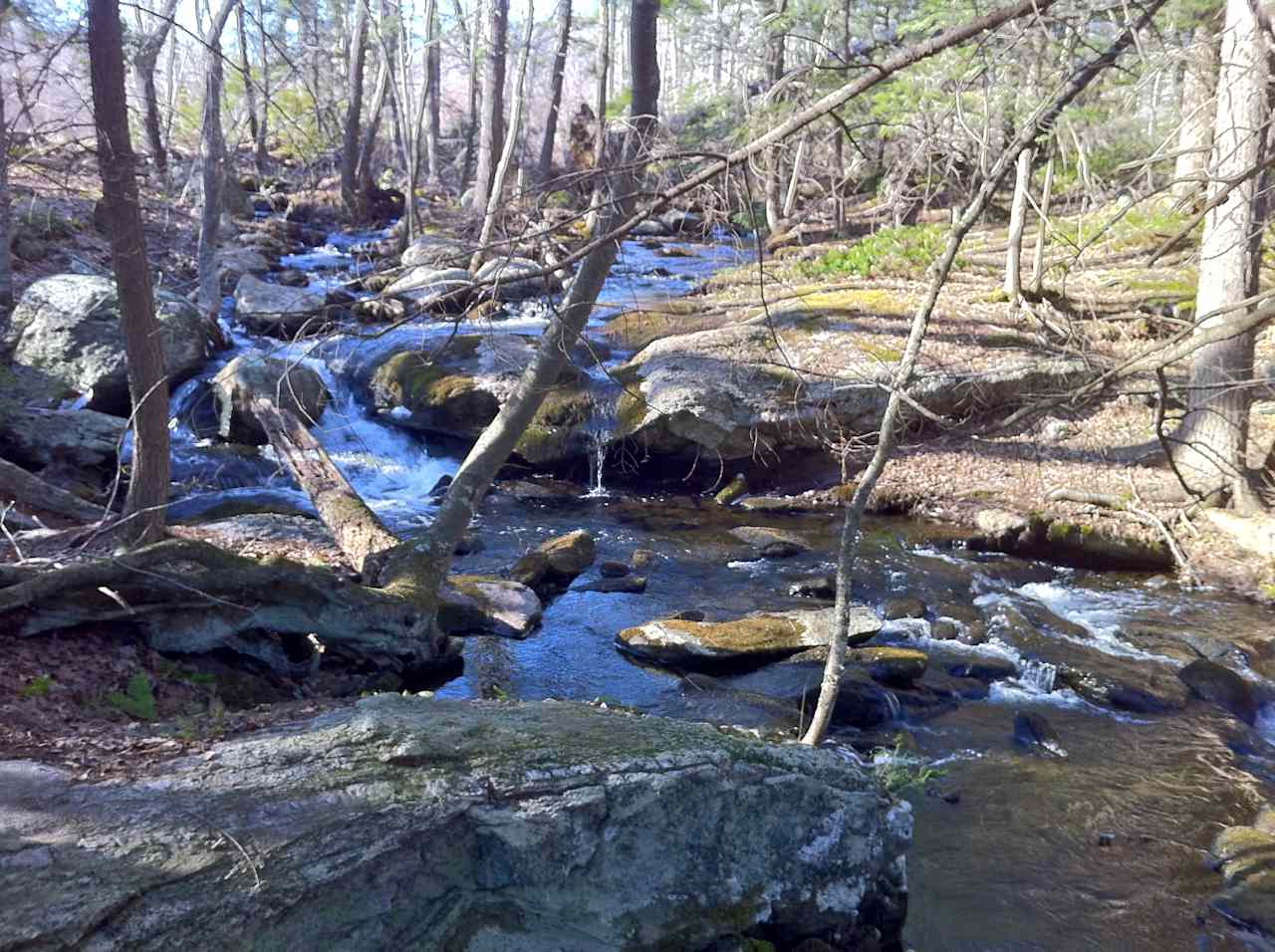 Nipmuck Trail Campsite