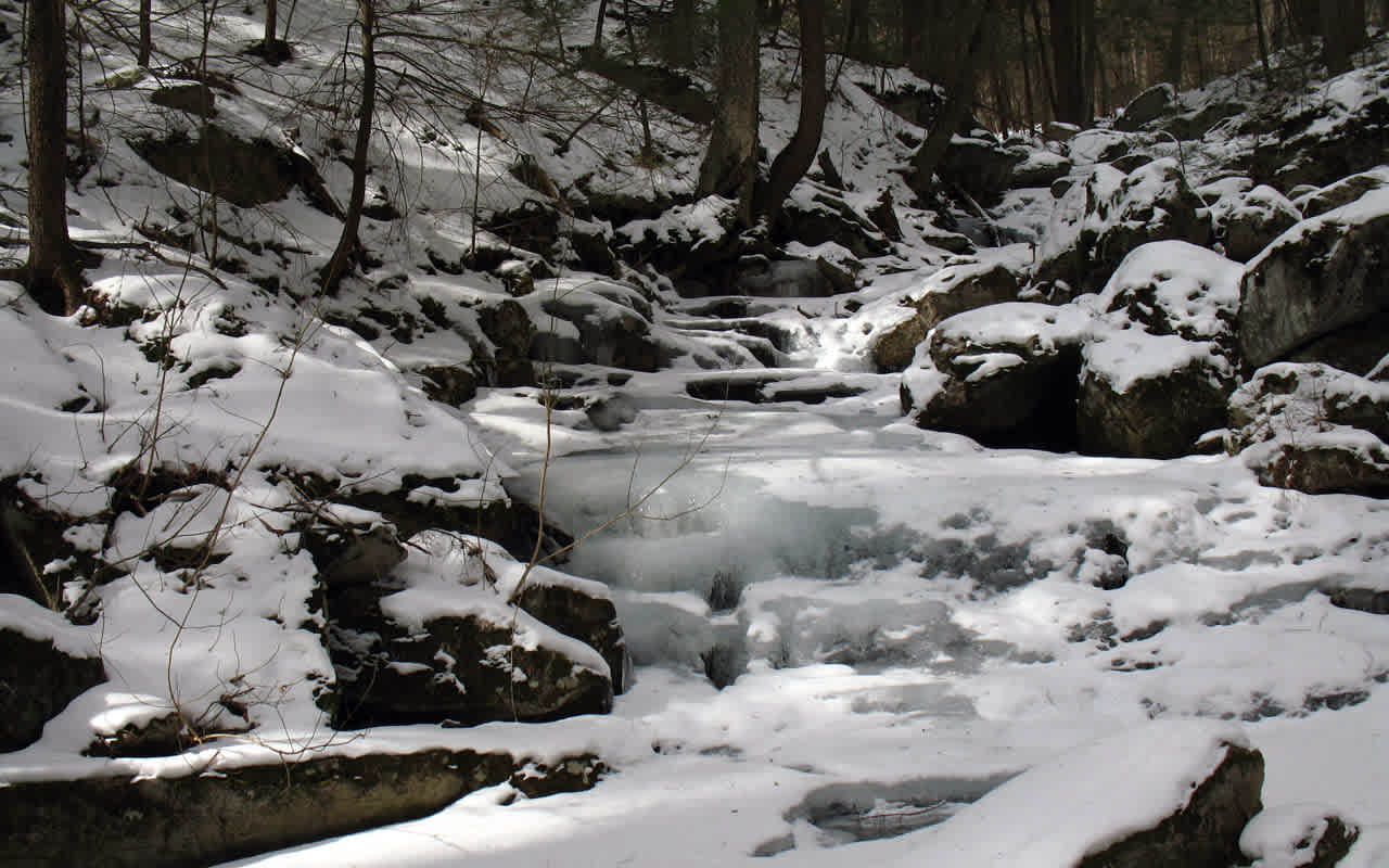 Roaring Brook Campsite