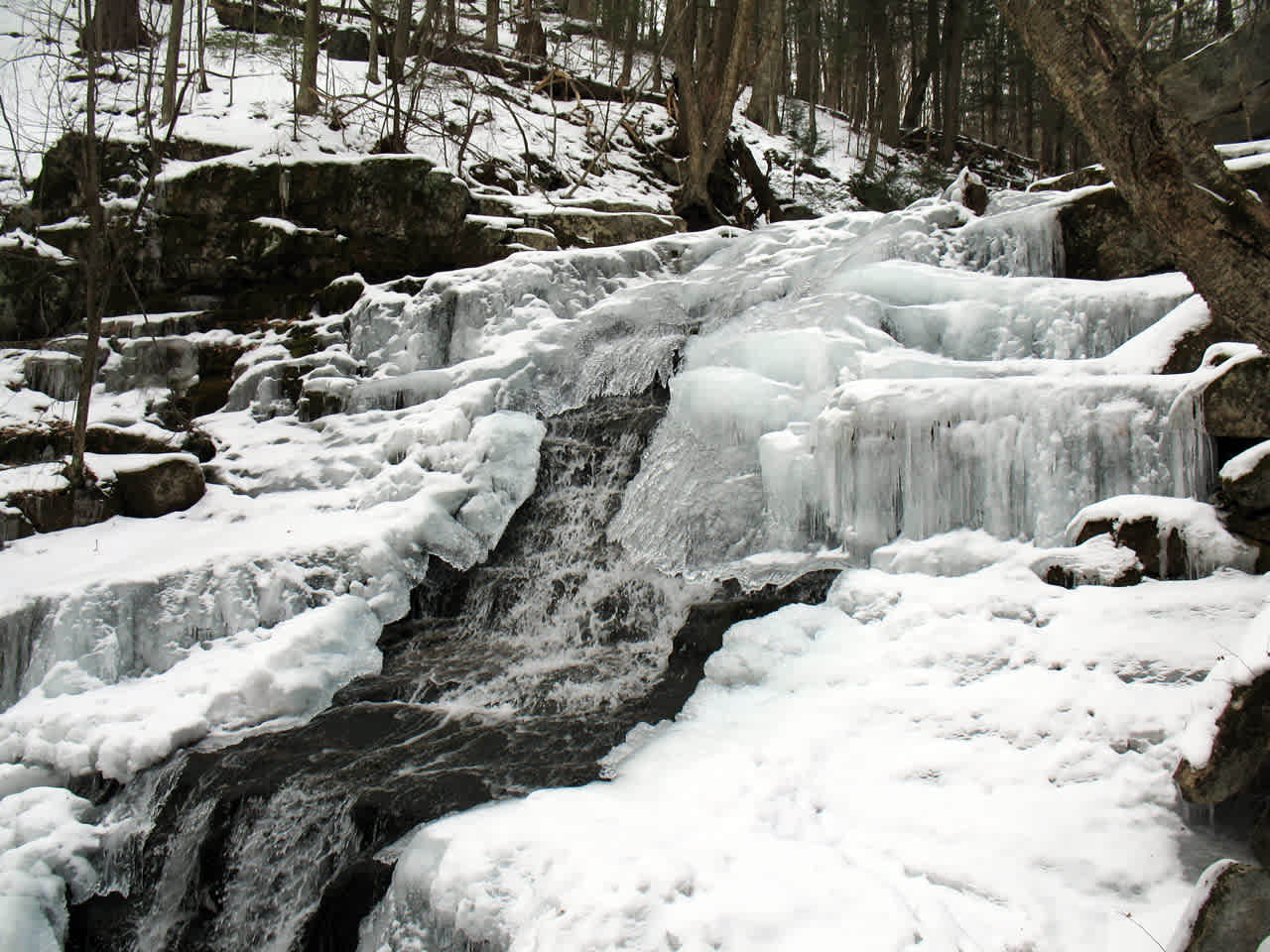 Tunxis State Forest