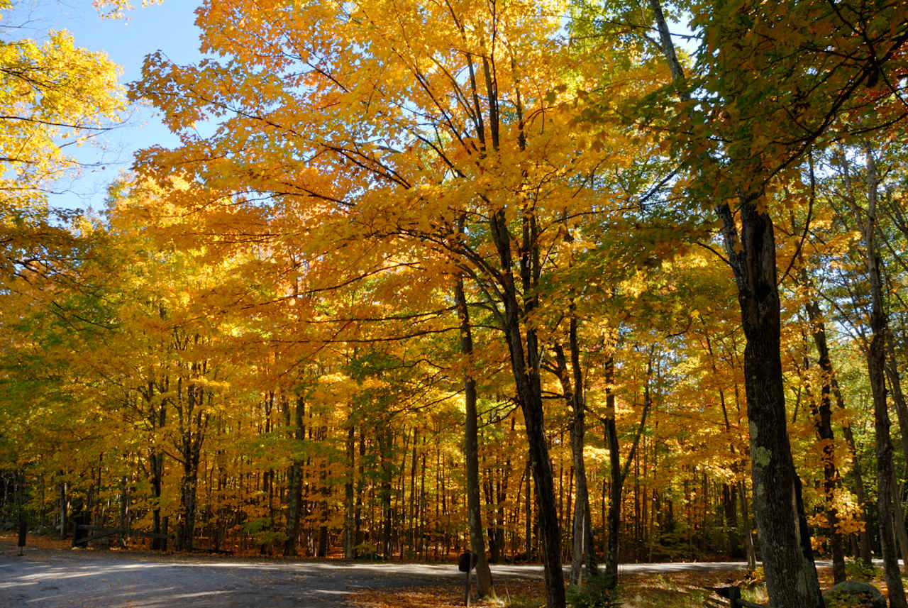 Bradbury Mountain State Park