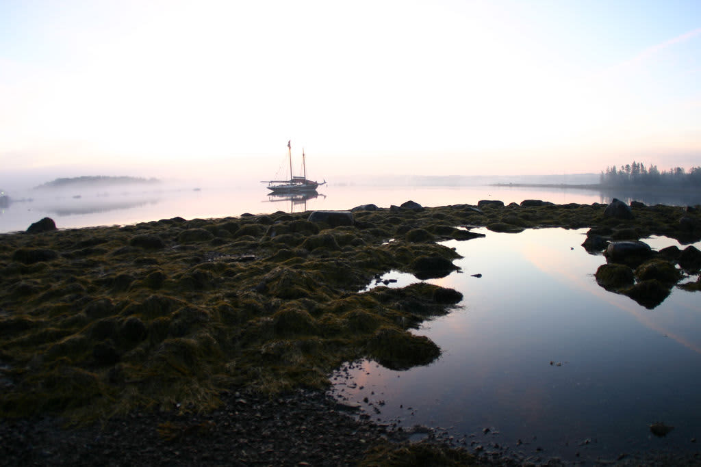 Warren Island State Park