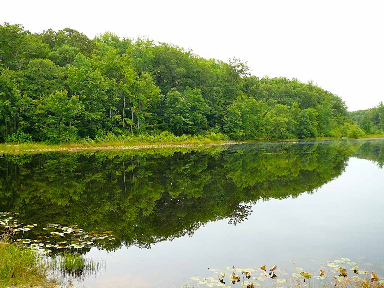 Cedarville State Forest