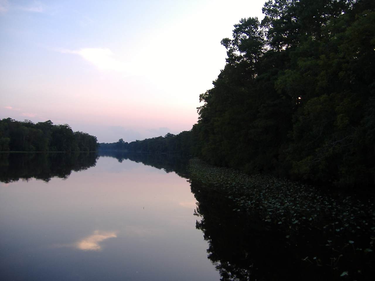 Pocomoke River State Park