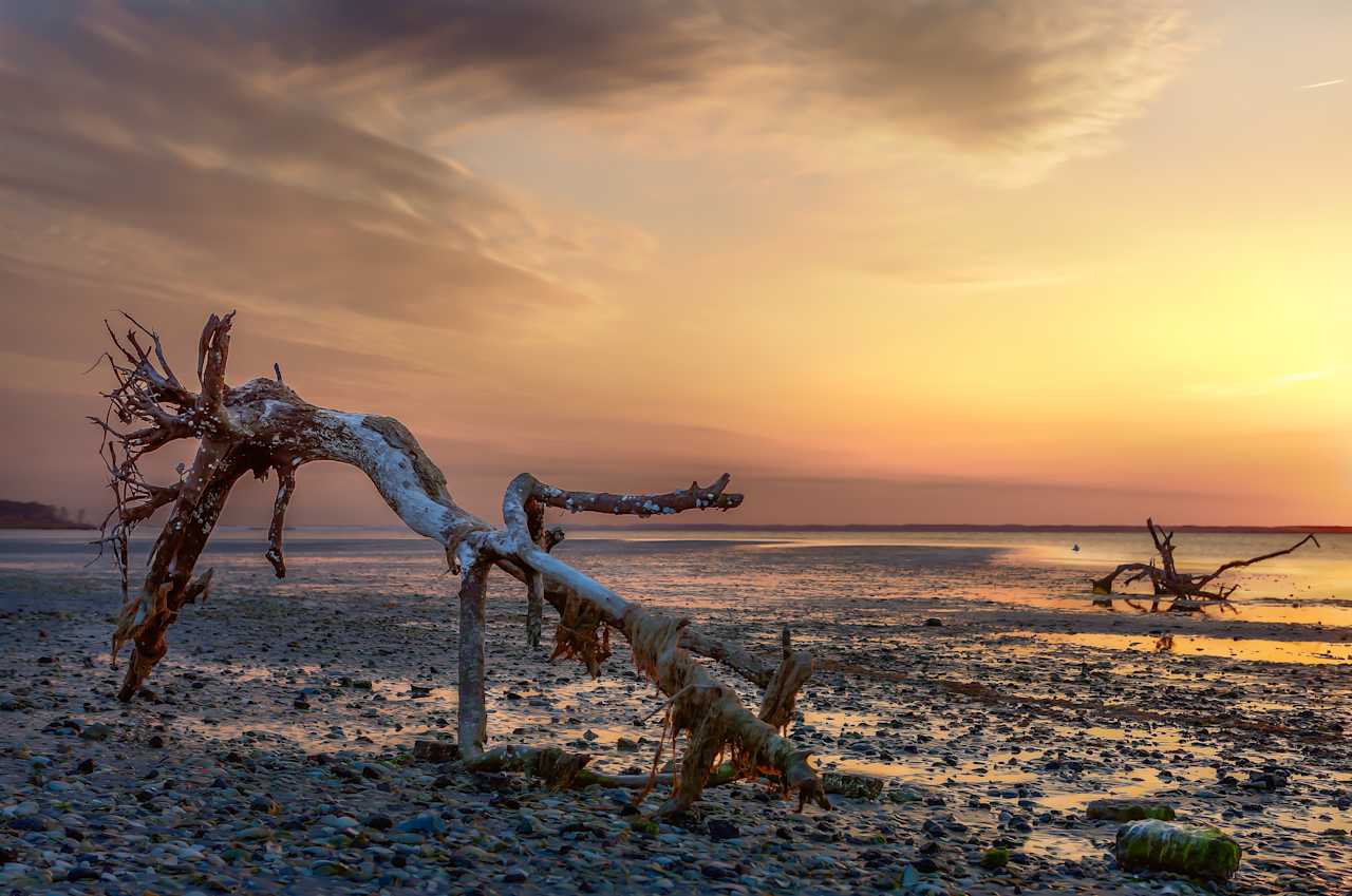 Assateague Island Group Campground