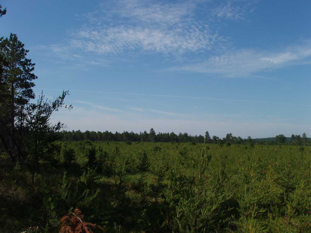 Clear Lake State Park MI