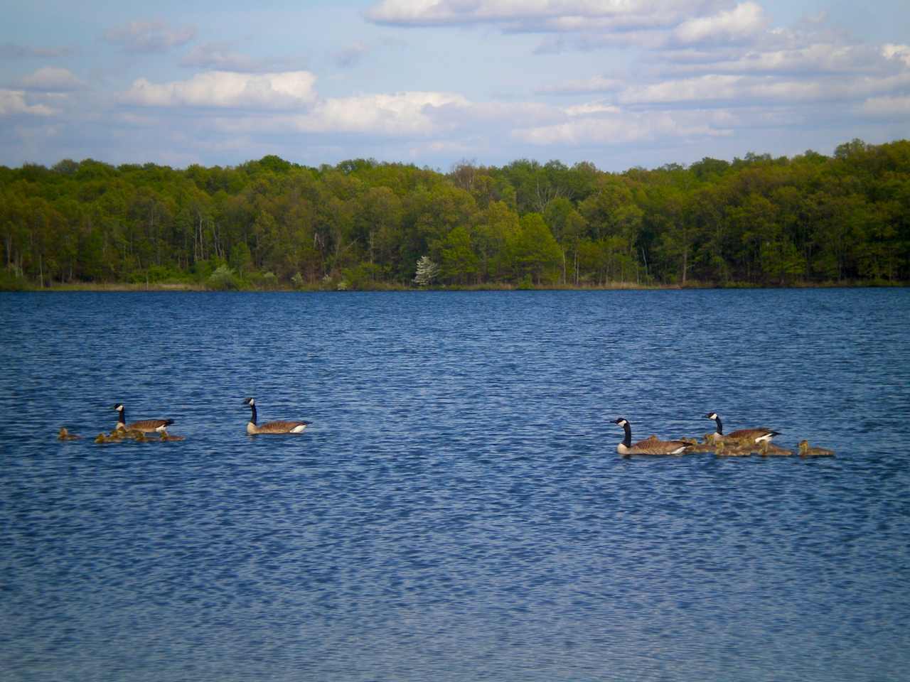 Fort Custer State Park