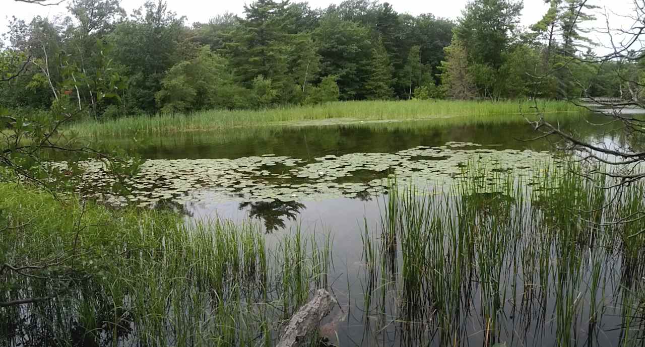 Beechwood Campground