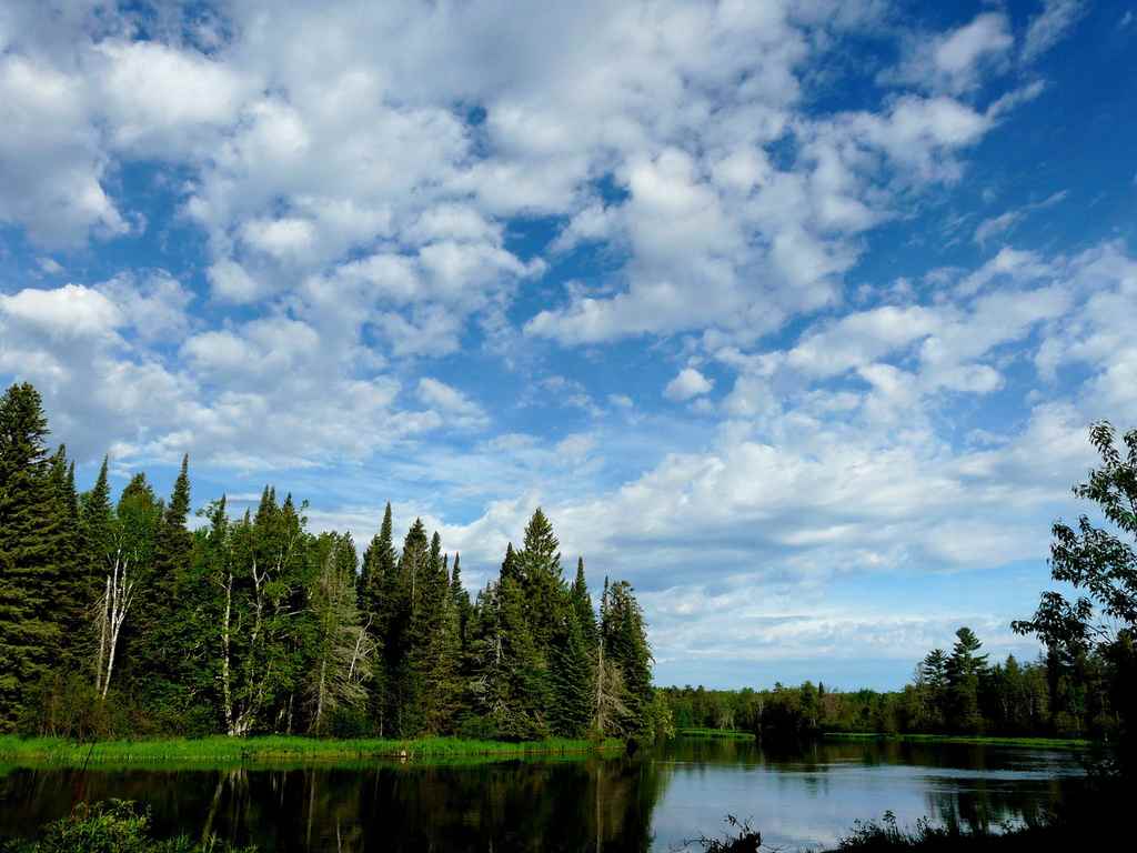 Huron-Manistee National Forests