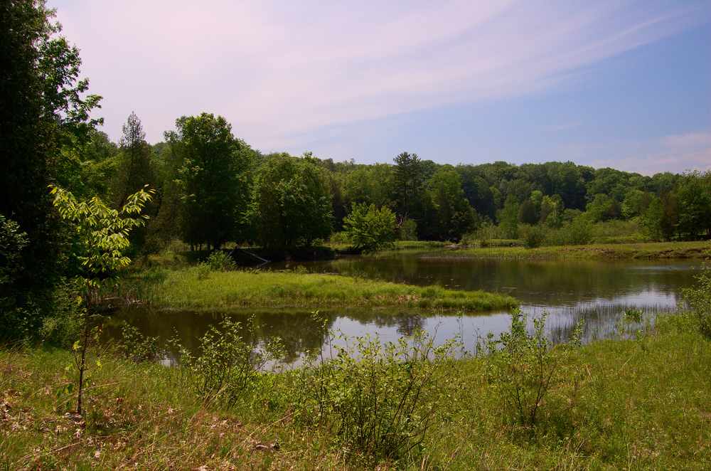 Hemlock Campground