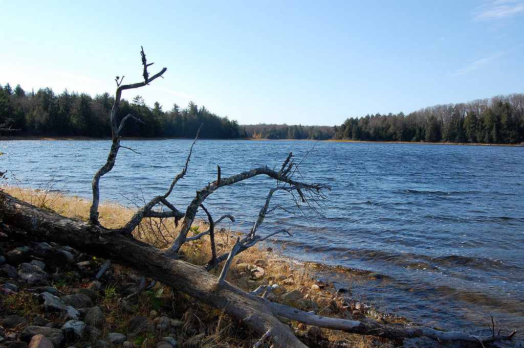 Robbins Pond Campground