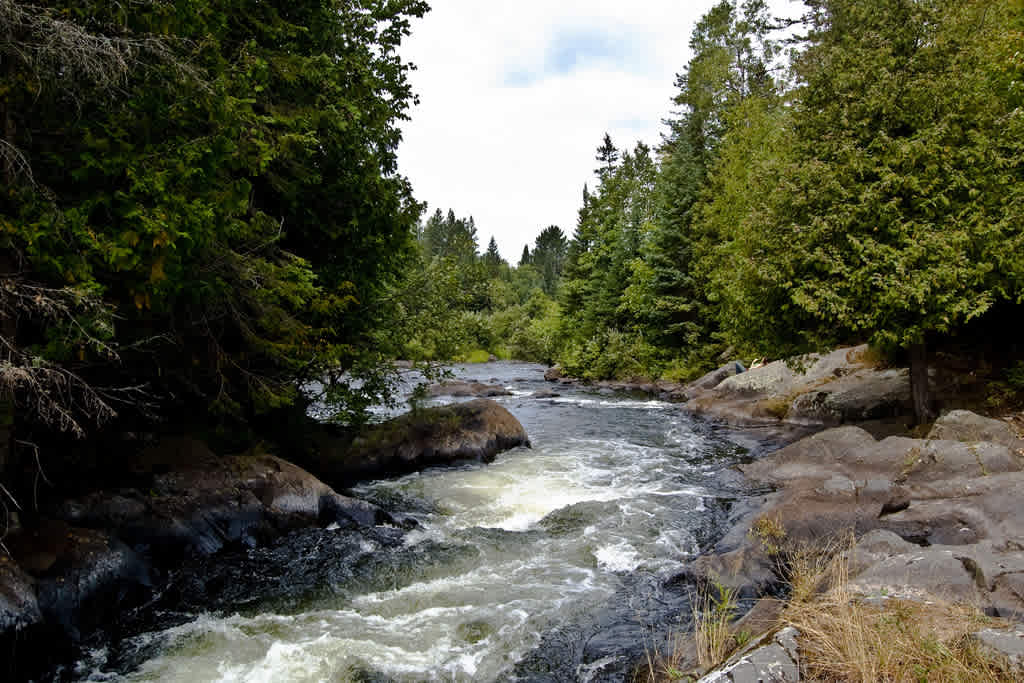 Courtney Lake Campground