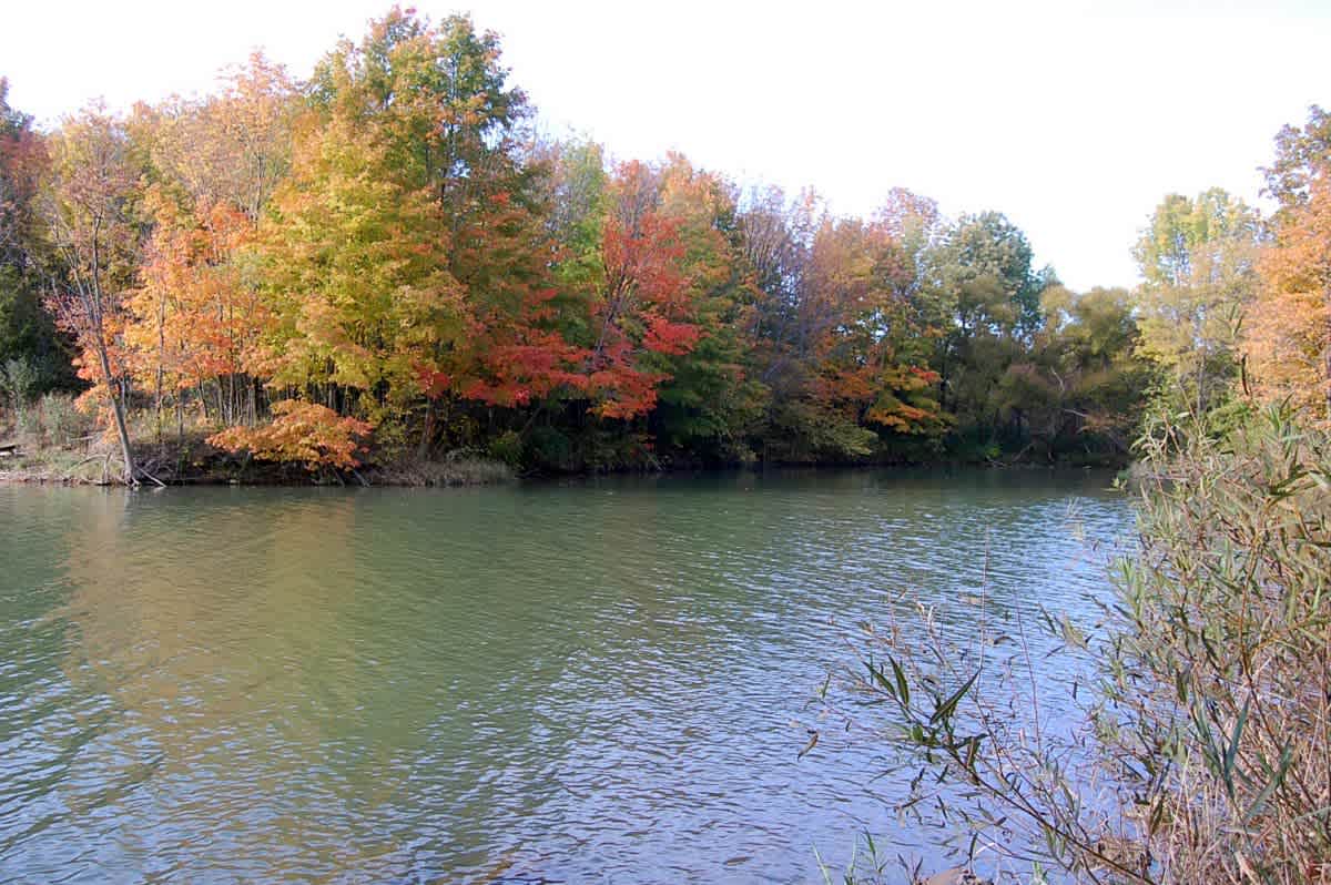 Alum Creek Campground