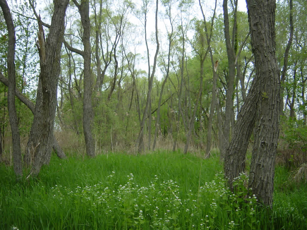 East Harbor Campground