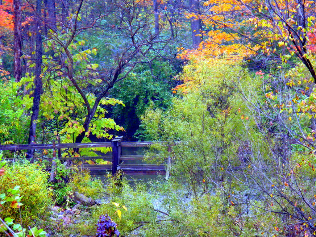 Mt. Gilead Campground