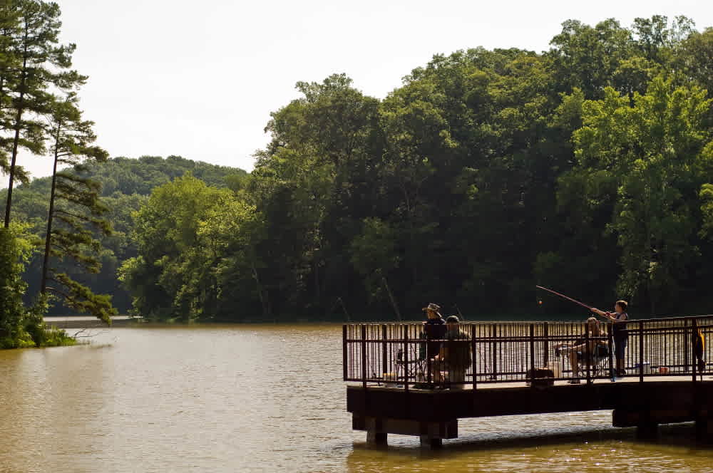 Leith Run Campground