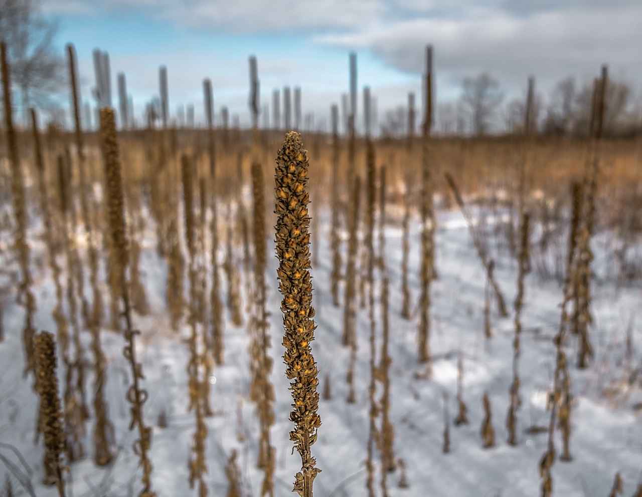 Lake Kegonsa State Park