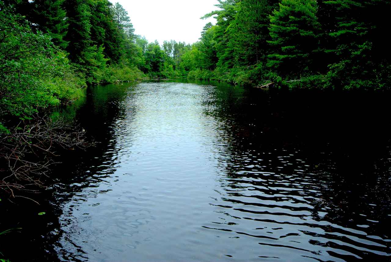 Northern Highland American Legion State Forest