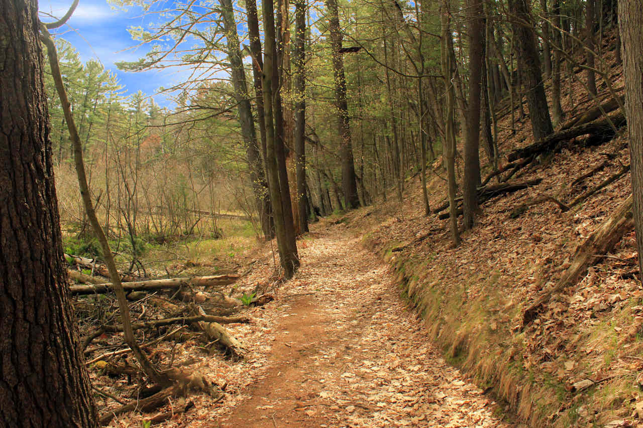 Rocky Arbor State Park