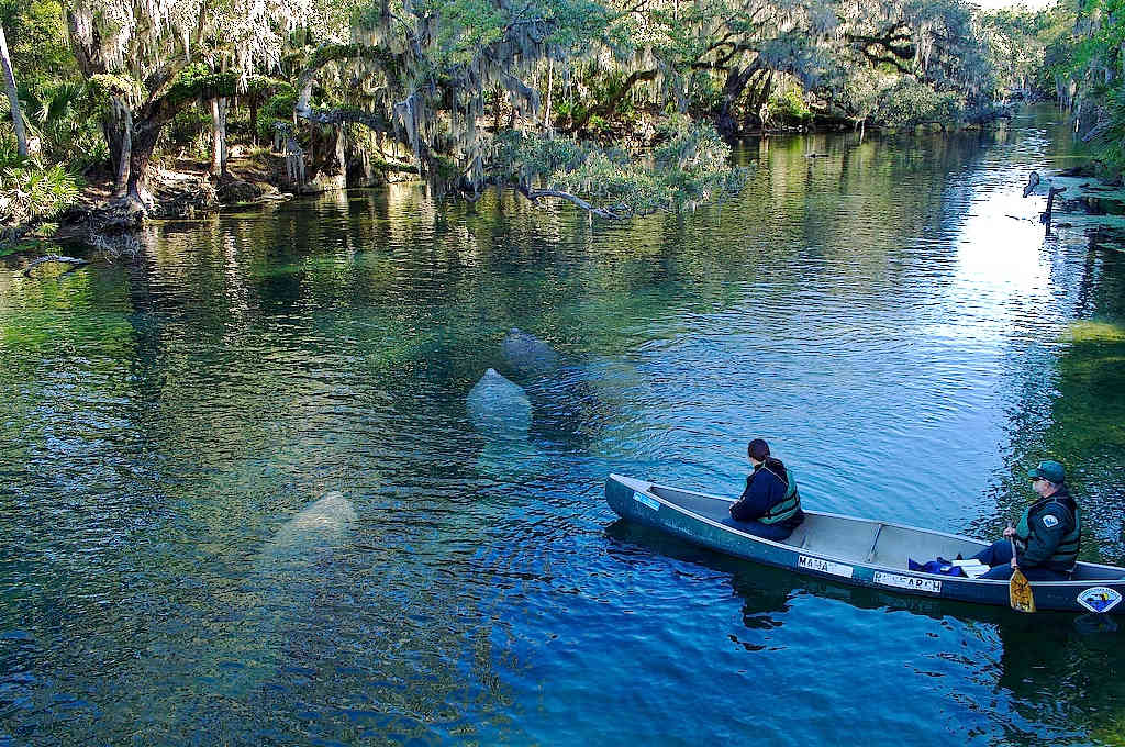 Blue Spring State Park