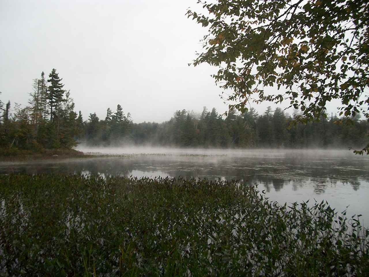 Nicks Lake Campground