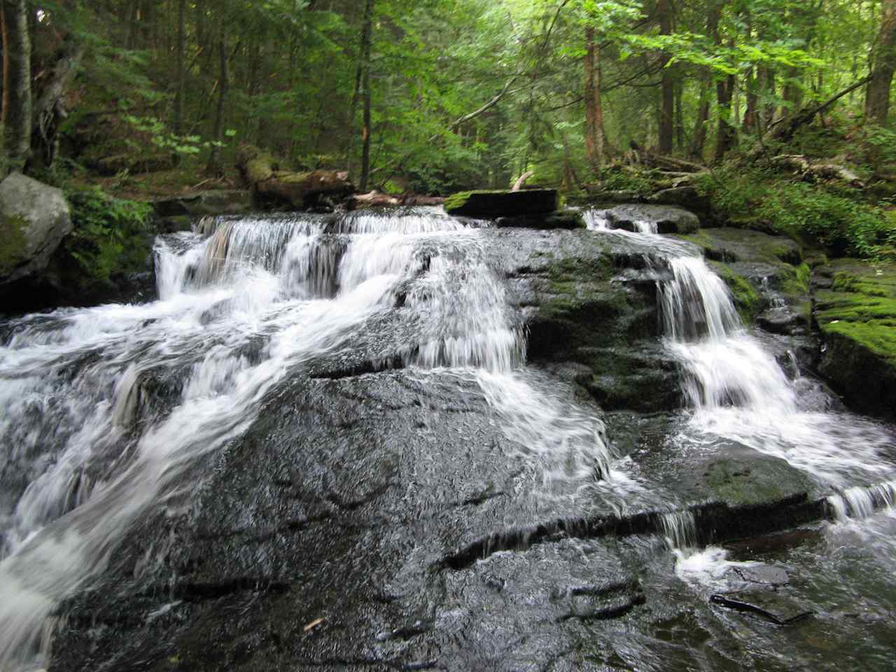 Mongaup Pond Campground