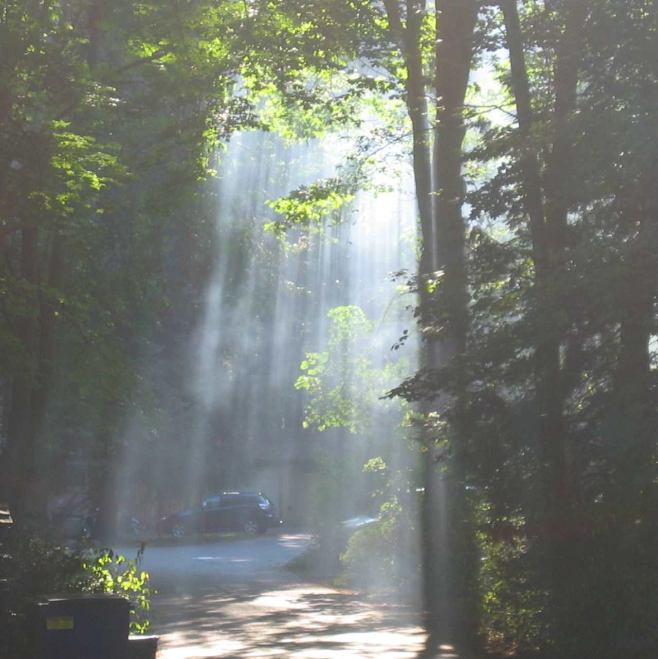 Belfair Main Loop Campground