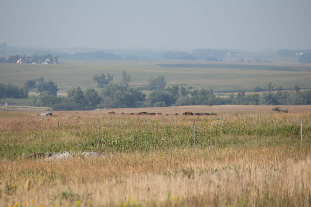 Blue Mounds State Park