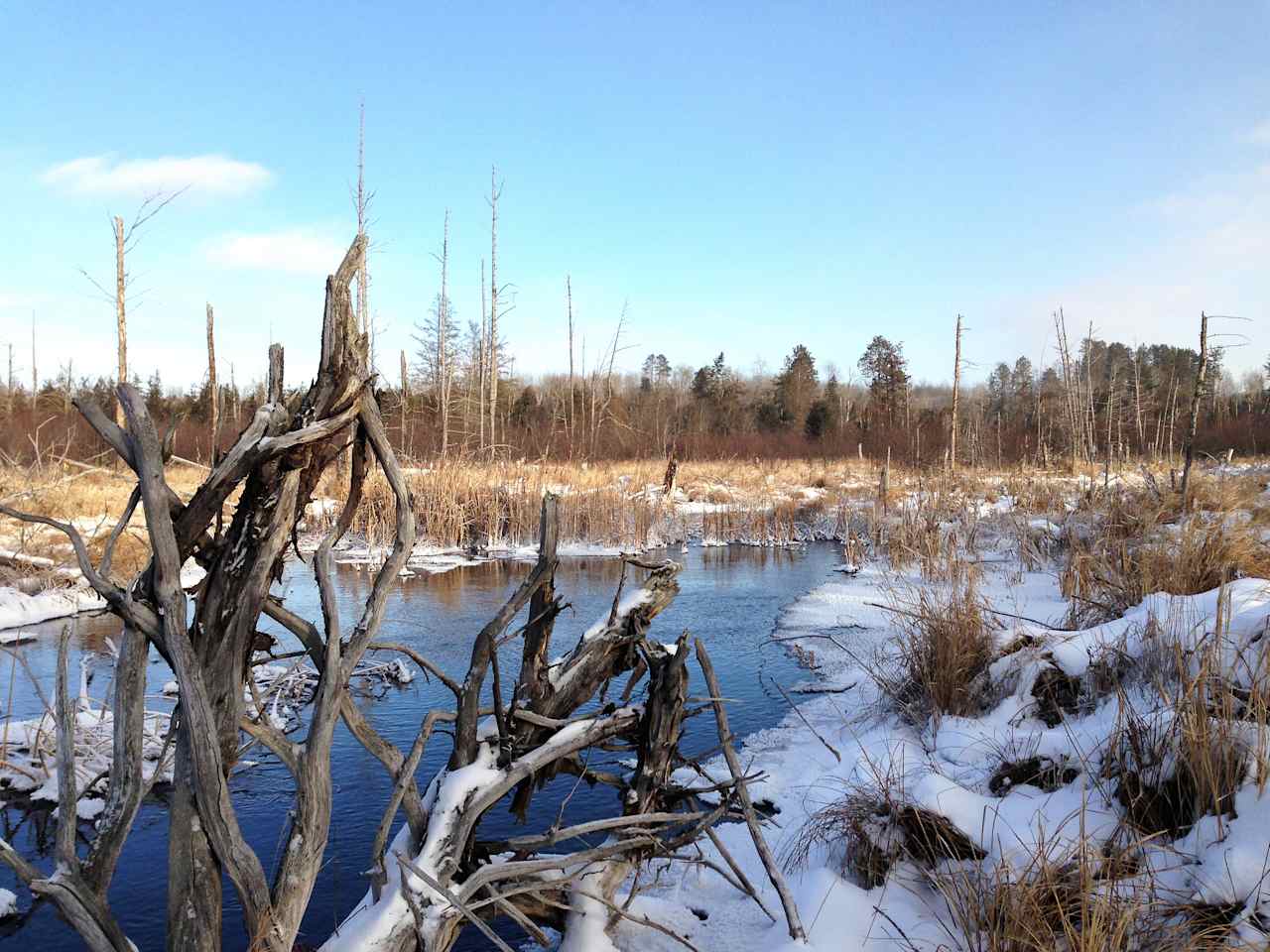 La Salle Lake State Recreation Area