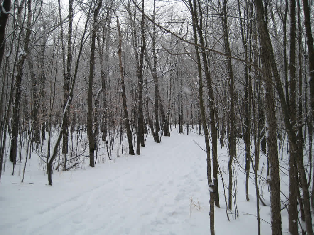 Horse Riders Campground