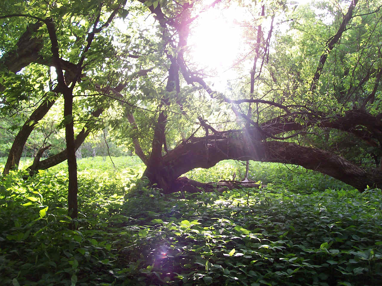 Lake Shetek State Park