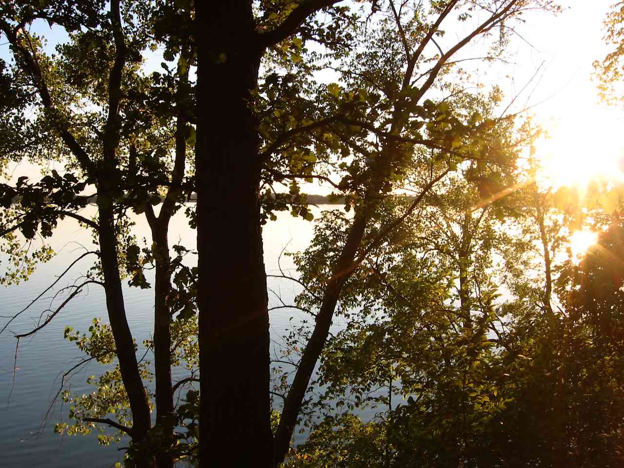 Big Island Campground