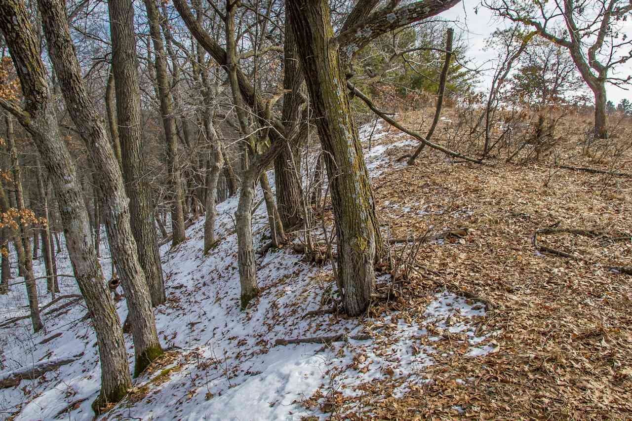 Sand Dunes State Forest