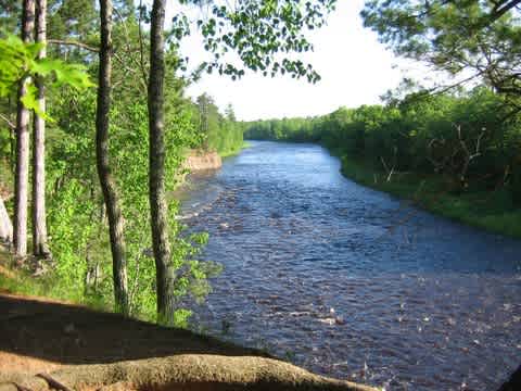 Old Logging Trail Campground