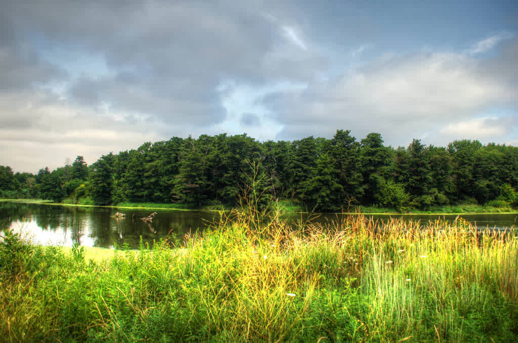 Des Plaines State Fish & Wildlife Area