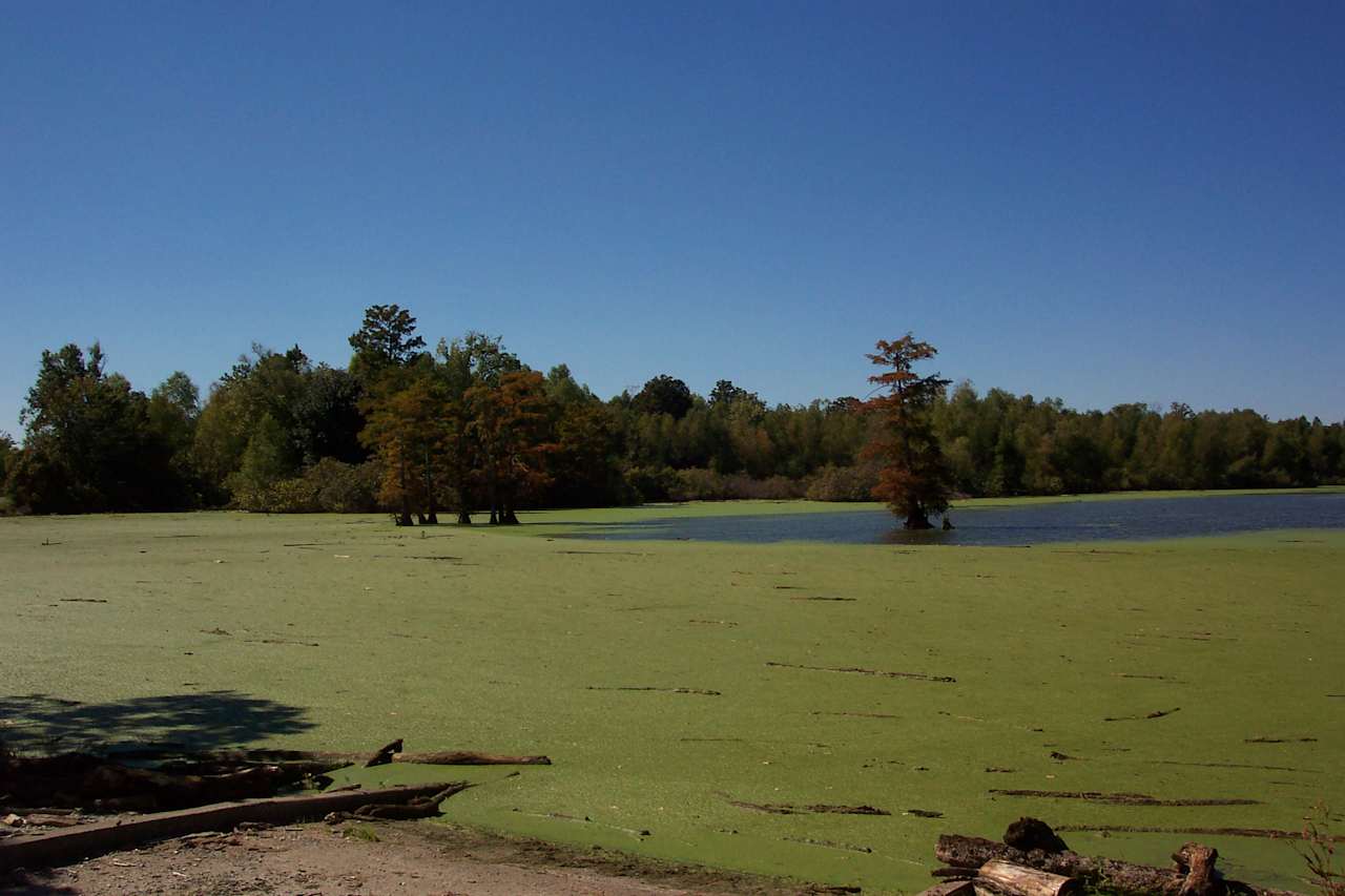 Horseshoe Lake Group Camp