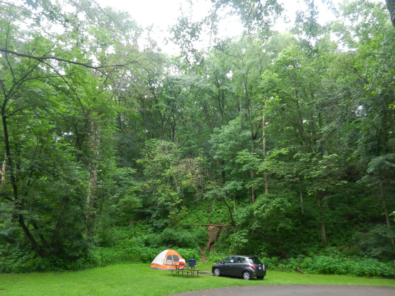 Mississippi Palisades Campground