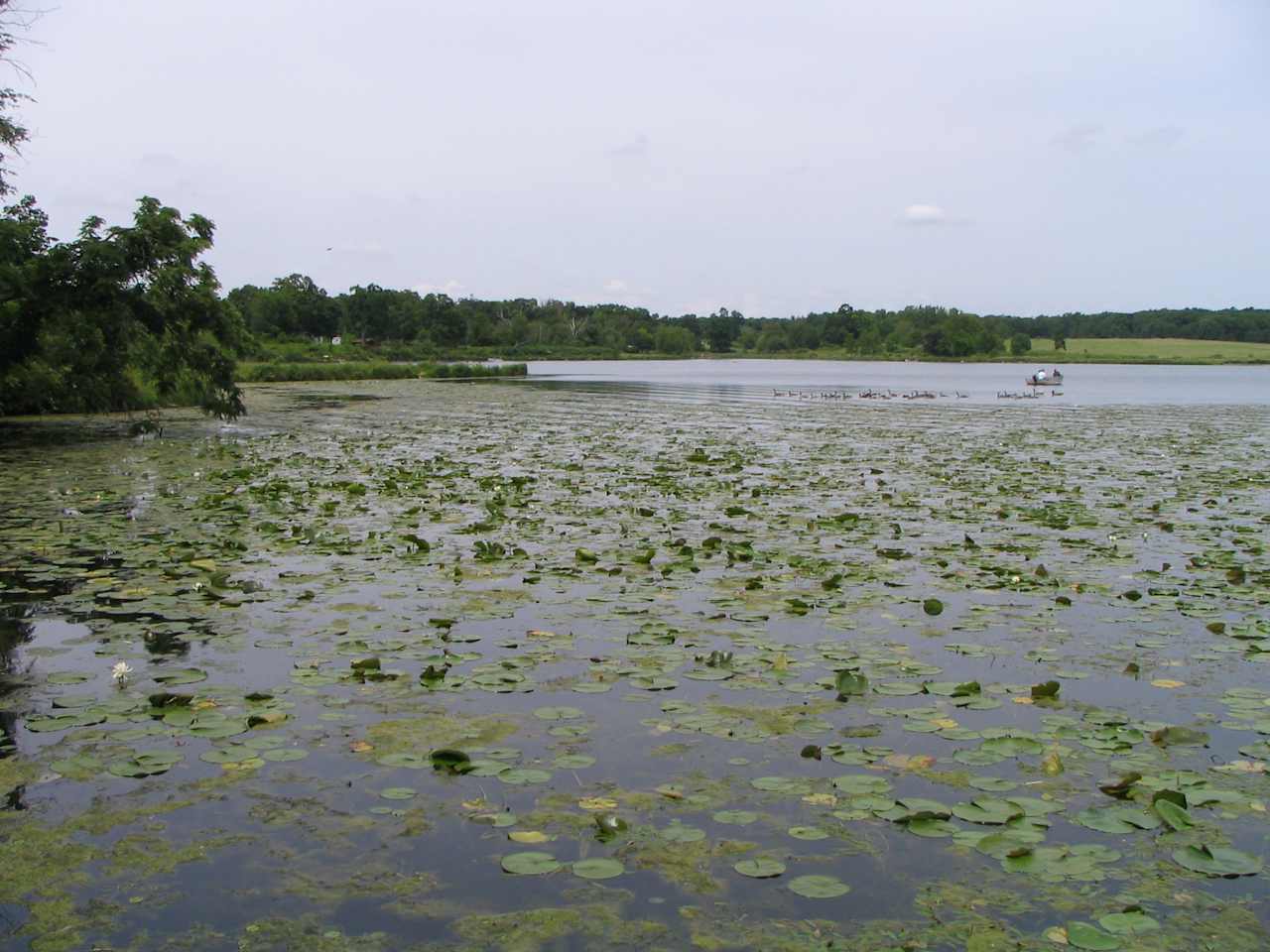 Shabbona Lake Campground