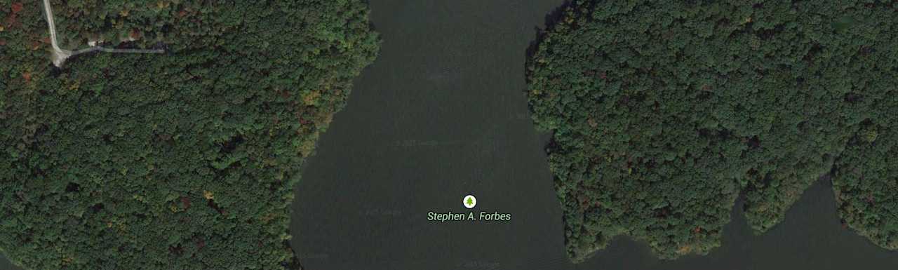 Stephen A. Forbes State Recreation Area