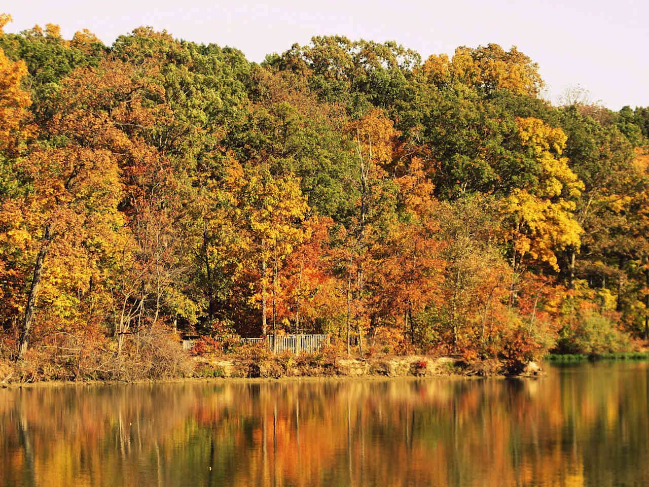 Walnut Point Campground