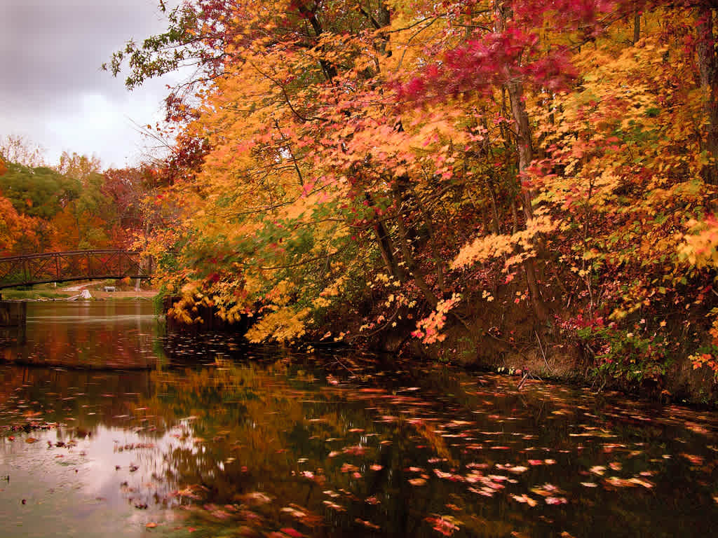 Weldon Springs State Park