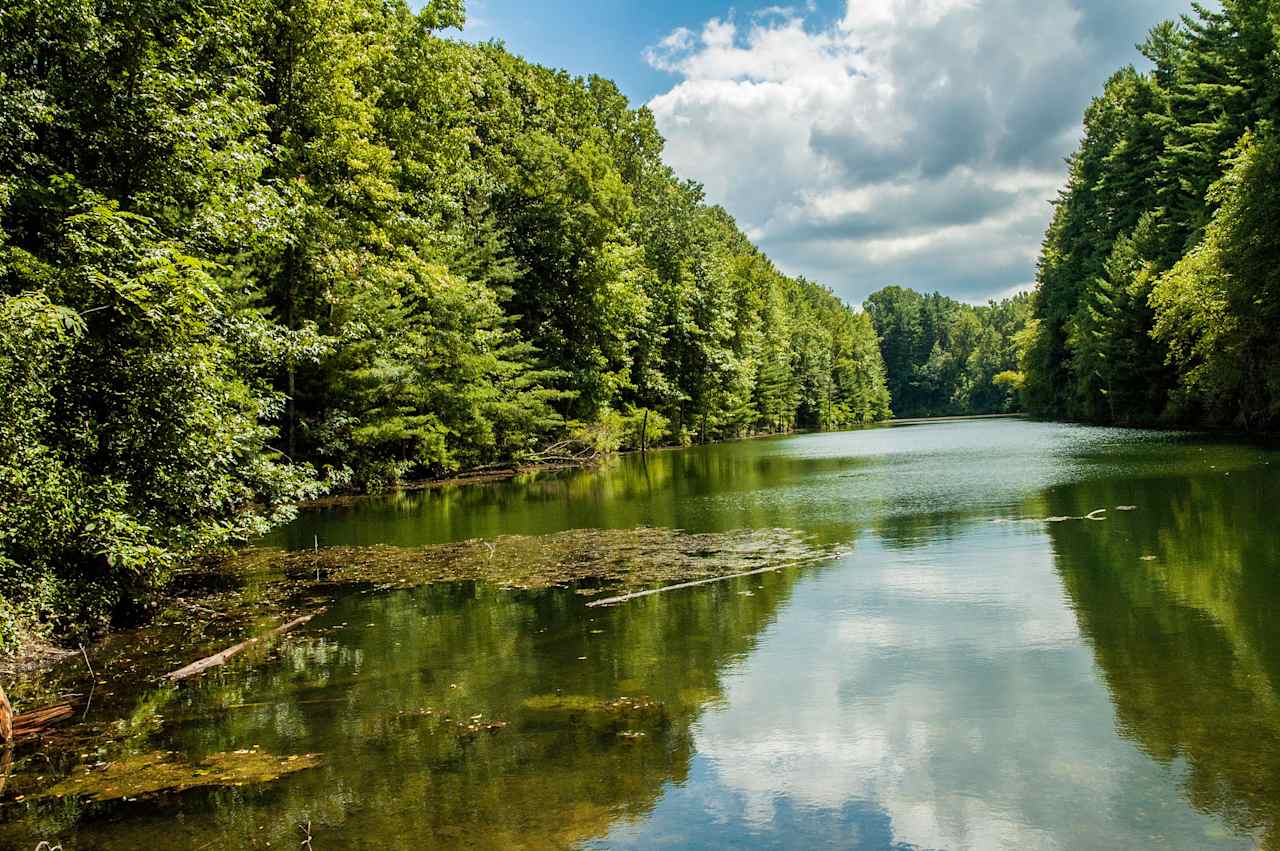 Greene-Sullivan State Forest