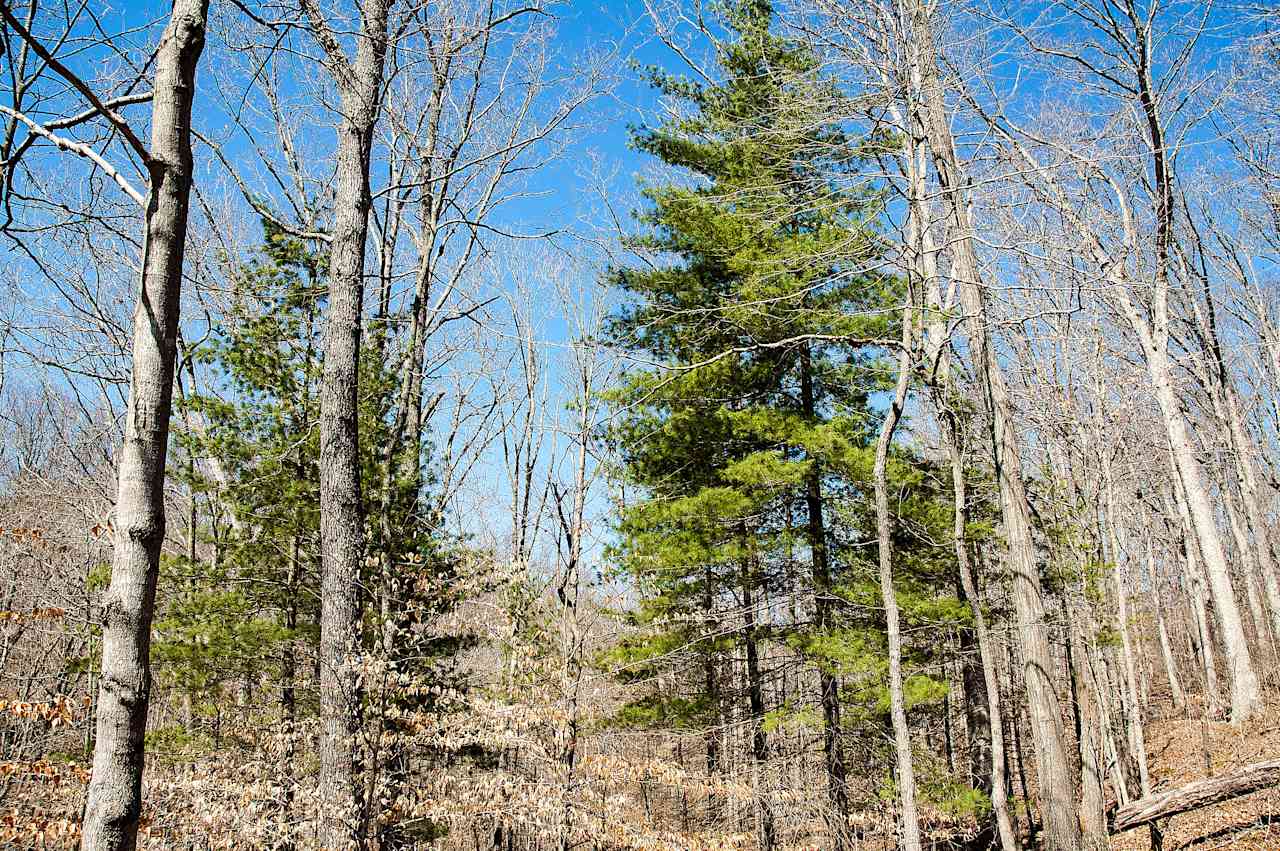 Little Salt Creek Group Site