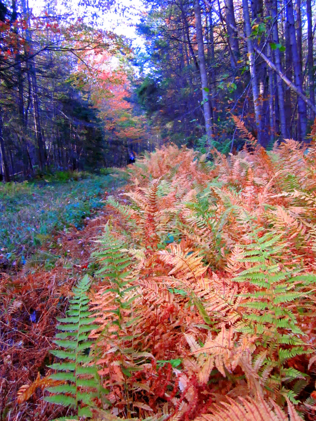 Autumn is beautiful at Stillwater