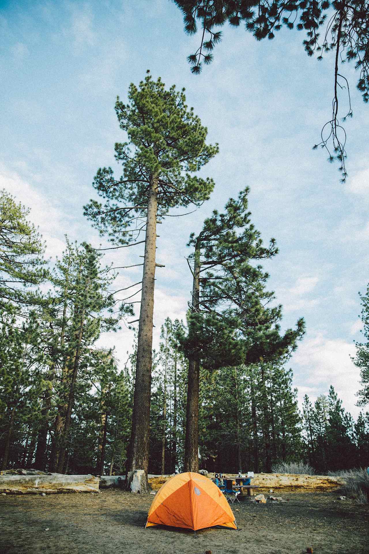 Chula Vista is a rad little spot, especially if you're really into huge trees and star gazing. There's almost never anybody there so you're bound to get plenty of room to yourself! 