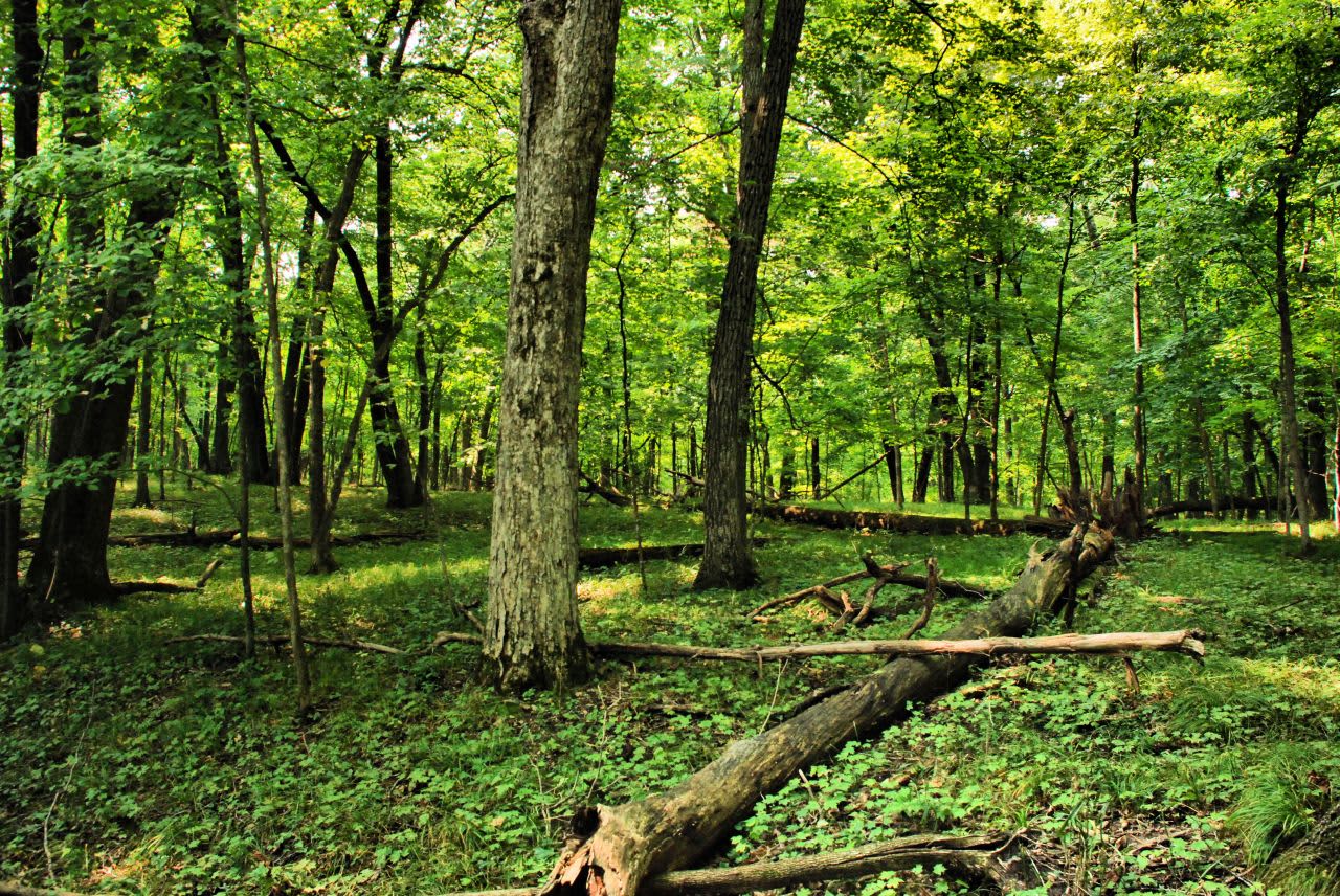 South Lake Campground