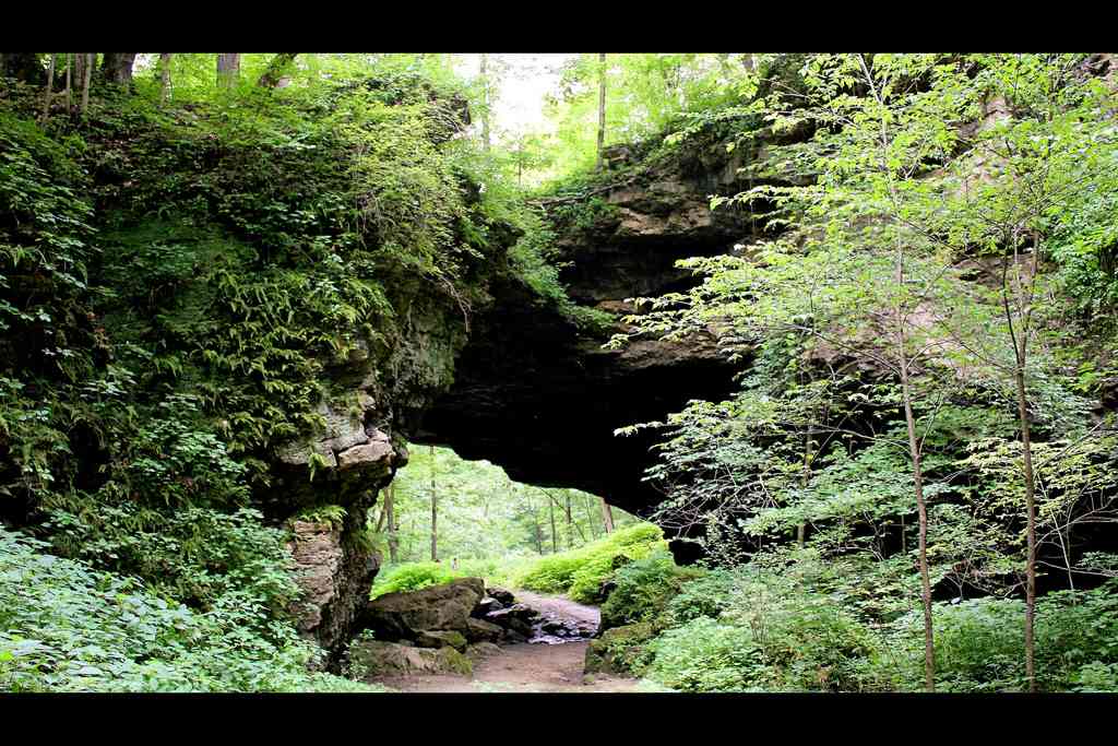 Maquoketa Caves Campground